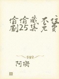 偷偷藏不住电视剧25集免费观看