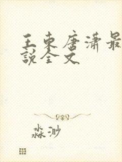 王东唐潇最新小说全文