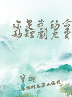 你是我的命中情劫短剧免费观看