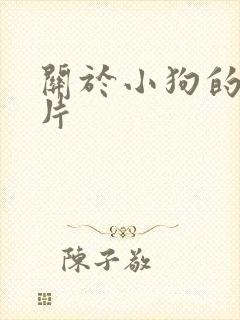 关于小狗的动画片