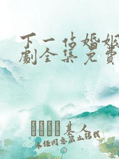 下一站婚姻电视剧全集免费观看播放