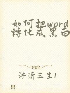 如何把word转化成黑白pdf