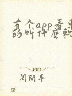有个app看车的叫什么软件