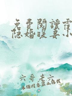 免费阅读霍爷的隐婚暖妻小说