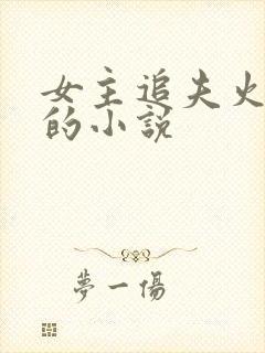 女主追夫火葬场的小说