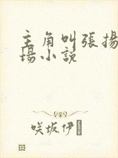 主角叫张扬的官场小说