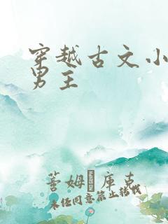 穿越古文小说双男主