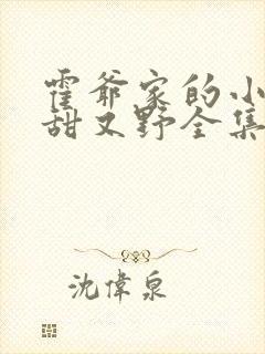 霍爷家的小祖宗甜又野全集下载