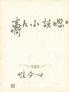 高h小说嗯啊嗯啊