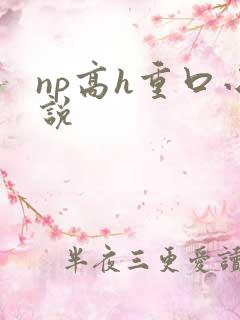 np高h重口小说