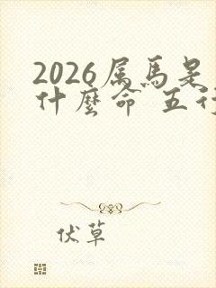 2026属马是什么命 五行属什么