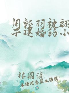 周轻羽被翩然仙子退婚的小说
