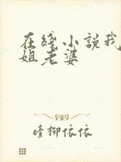在线小说我的空姐老婆