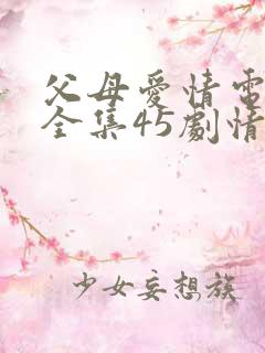 父母爱情电视剧全集45剧情