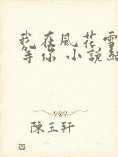 我在风花雪月里等你 小说结局