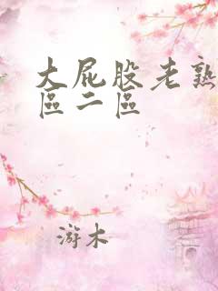 大屁股老熟女一区二区