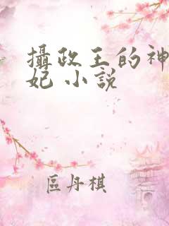 摄政王的神医狂妃 小说