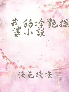 我的冷艳总裁老婆小说