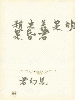 赵光义是明君还是昏君