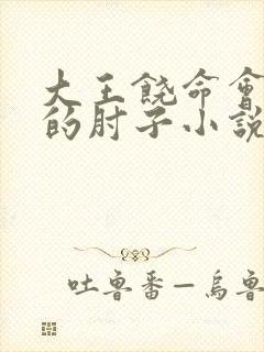 大王饶命会说话的肘子小说txt下载完整版