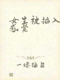 女生被插入什么感觉