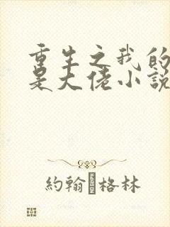 重生之我的老公是大佬小说