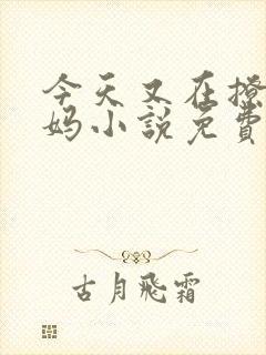 今天又在撩拨后妈小说免费