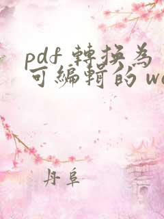pdf 转换为可编辑的 word 文件