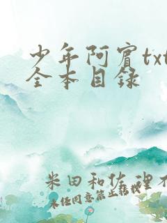 少年阿宾txt全本目录