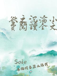 欲之沉沦小说免费阅读全文