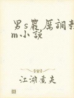 男s严厉调教女m小说