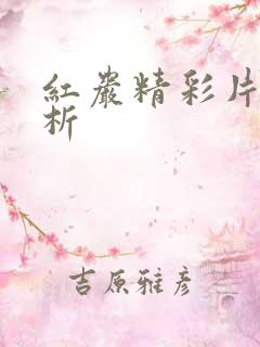 红岩精彩片段赏析