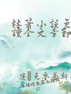 林萧小说免费阅读全文章节