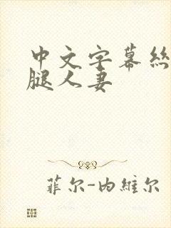 中文字幕丝袜美腿人妻