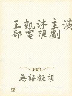 王凯沐主演的全部电视剧