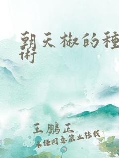 朝天椒的种植技术