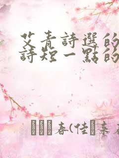 艾青诗选的一首诗短一点的