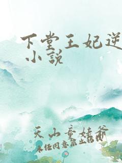 下堂王妃逆袭记 小说