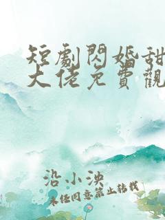 短剧闪婚甜妻是大佬免费观看全集