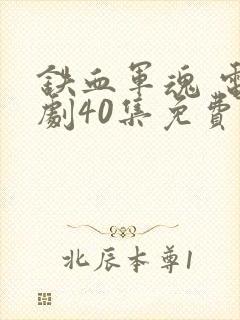 铁血军魂 电视剧40集免费观看