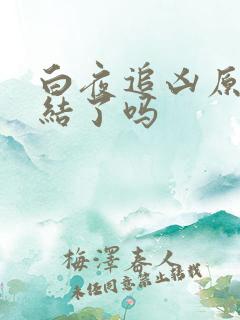白夜追凶原著完结了吗