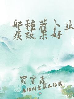 哪种萝卜止咳化痰效果好