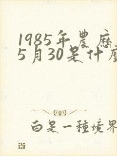 1985年农历5月30是什么命