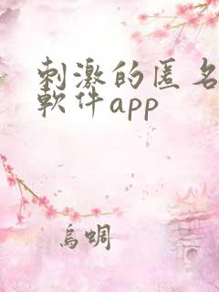 刺激的匿名聊天软件app