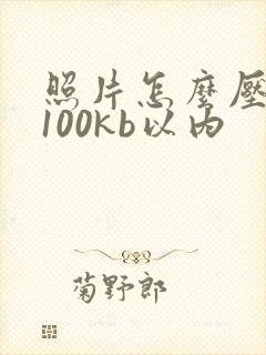 照片怎么压缩到100kb以内