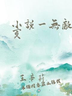 小说一无敌真寂寞