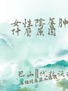 女性阴唇肿大是什么原因