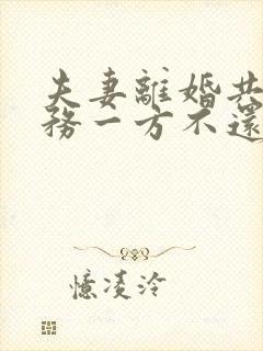 夫妻离婚共同债务一方不还怎么办