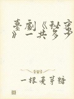 台剧《秘密关系》一共多少集