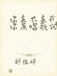 你来不来我都等你原唱歌词